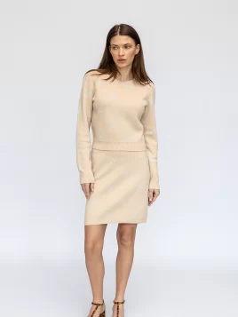 Костюм женский (джемпер, юбка) (цвет: крем-брюле, бледно-голубой)