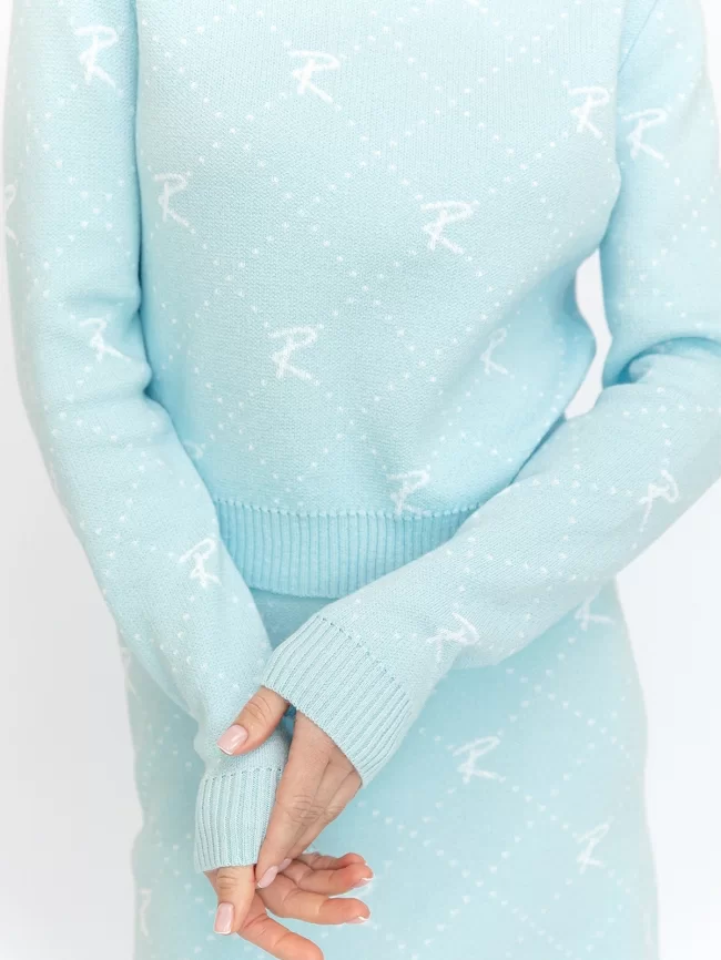 Костюм женский (джемпер, юбка) (цвет: бледно-голубой, белый) фото 4