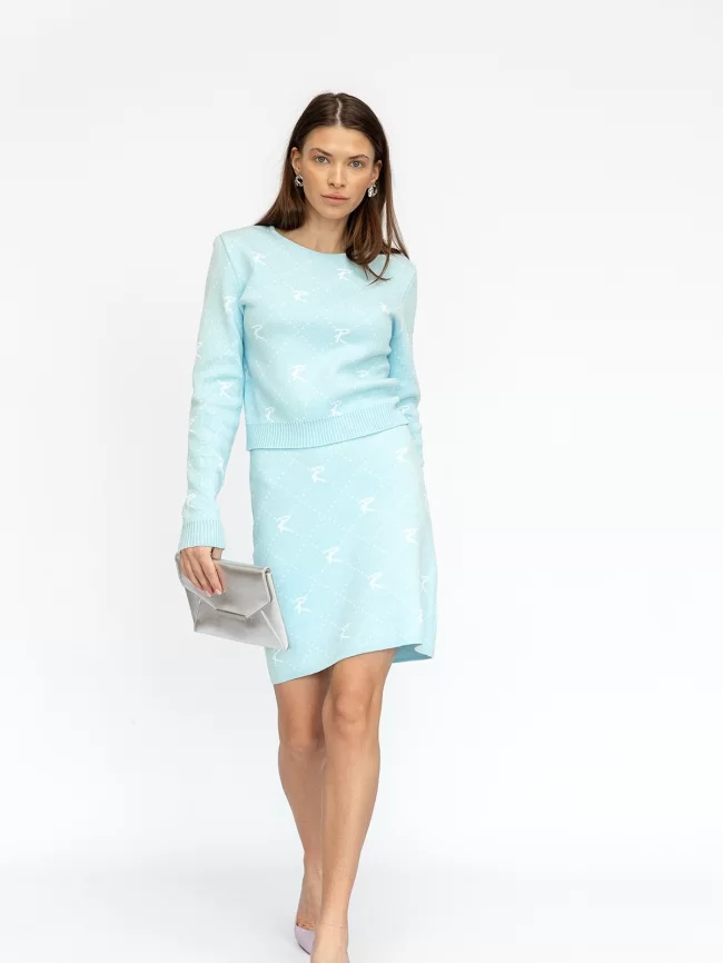 Джемпер женский (цвет: бледно-голубой, белый) фото 4